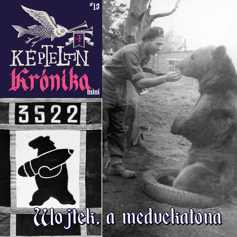 KK Mini #13 – Wojtek, a medvekatona