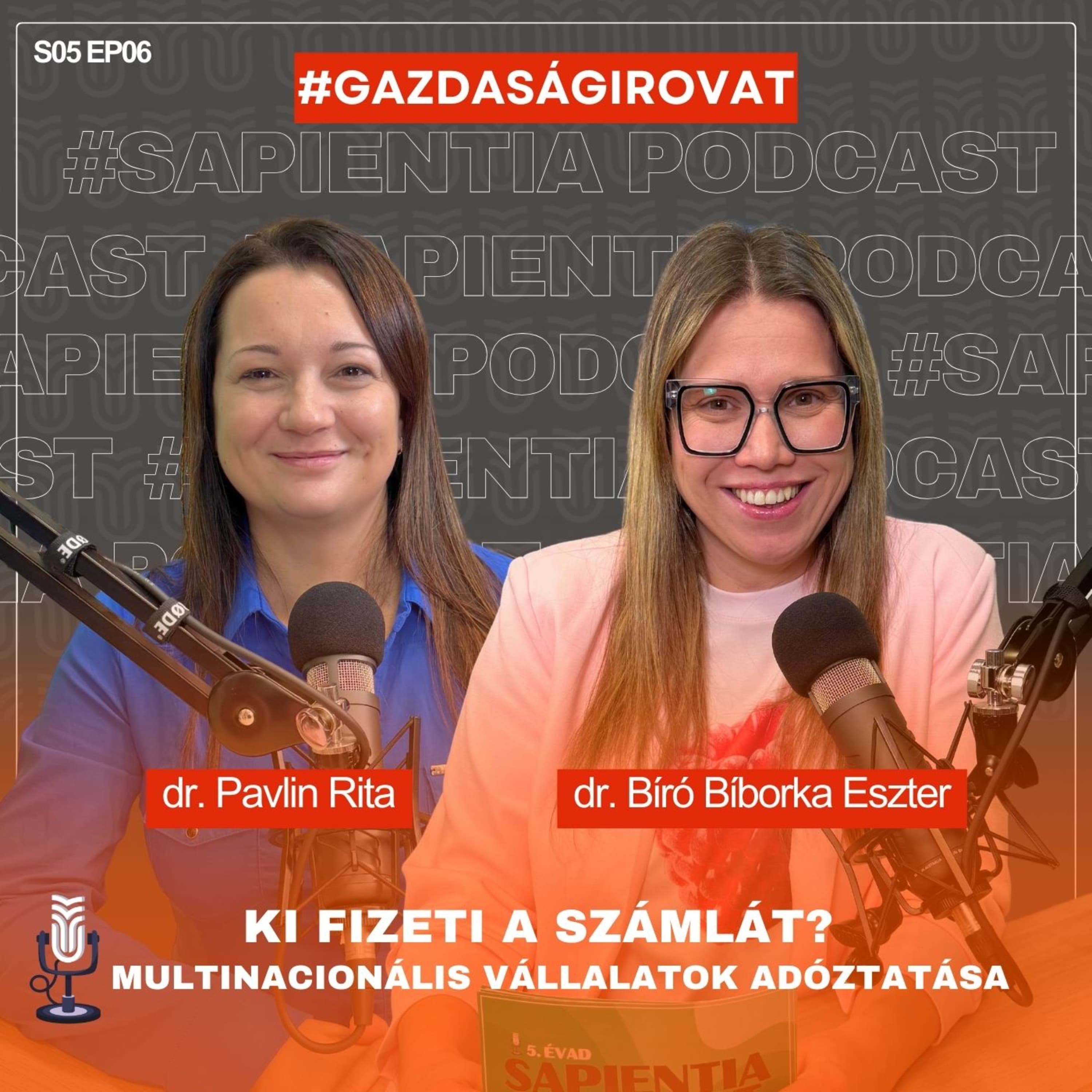 Ki fizeti a számlát? Multinacionális vállalatok adóztatása