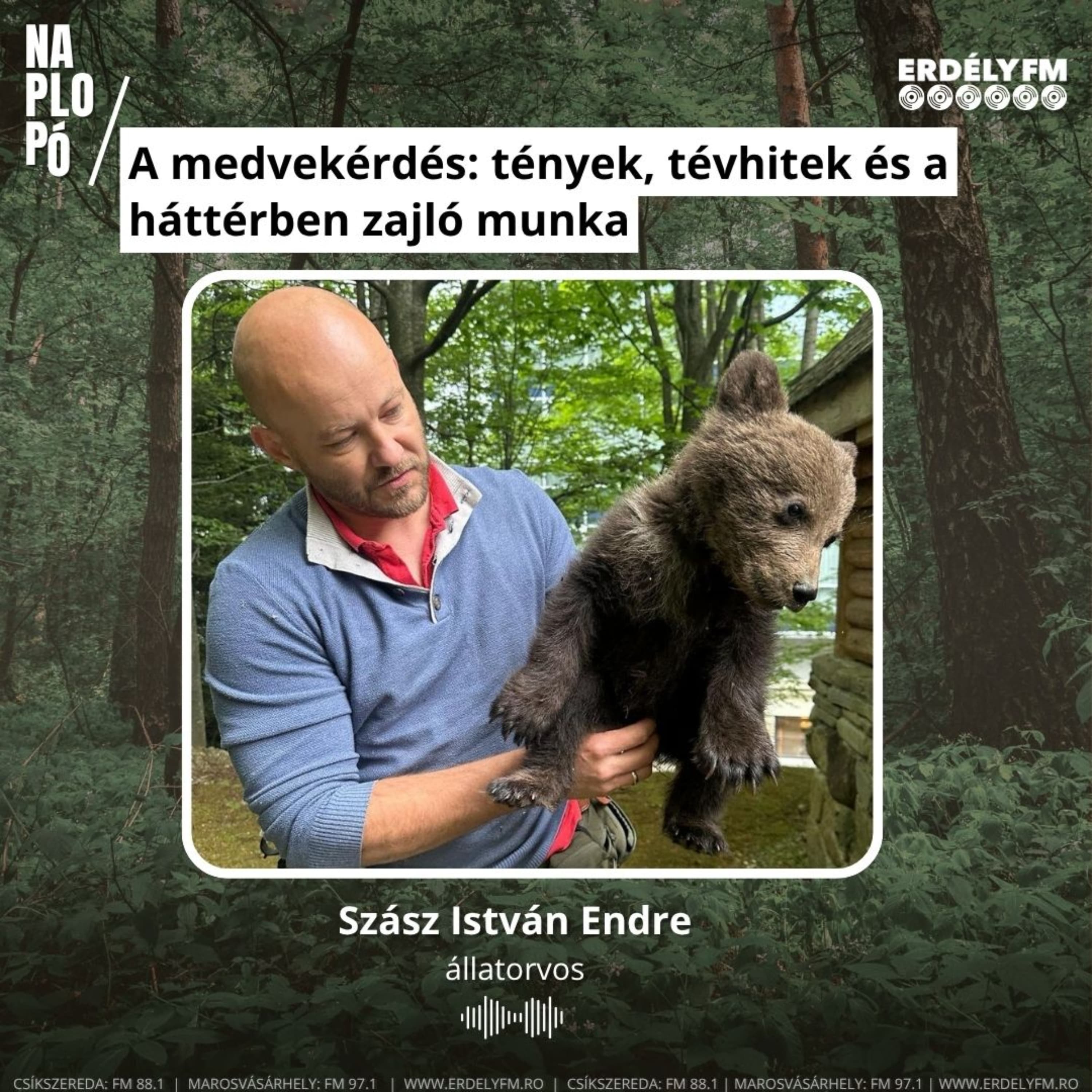 Medvék és emberek: együttélés vagy konfliktus?