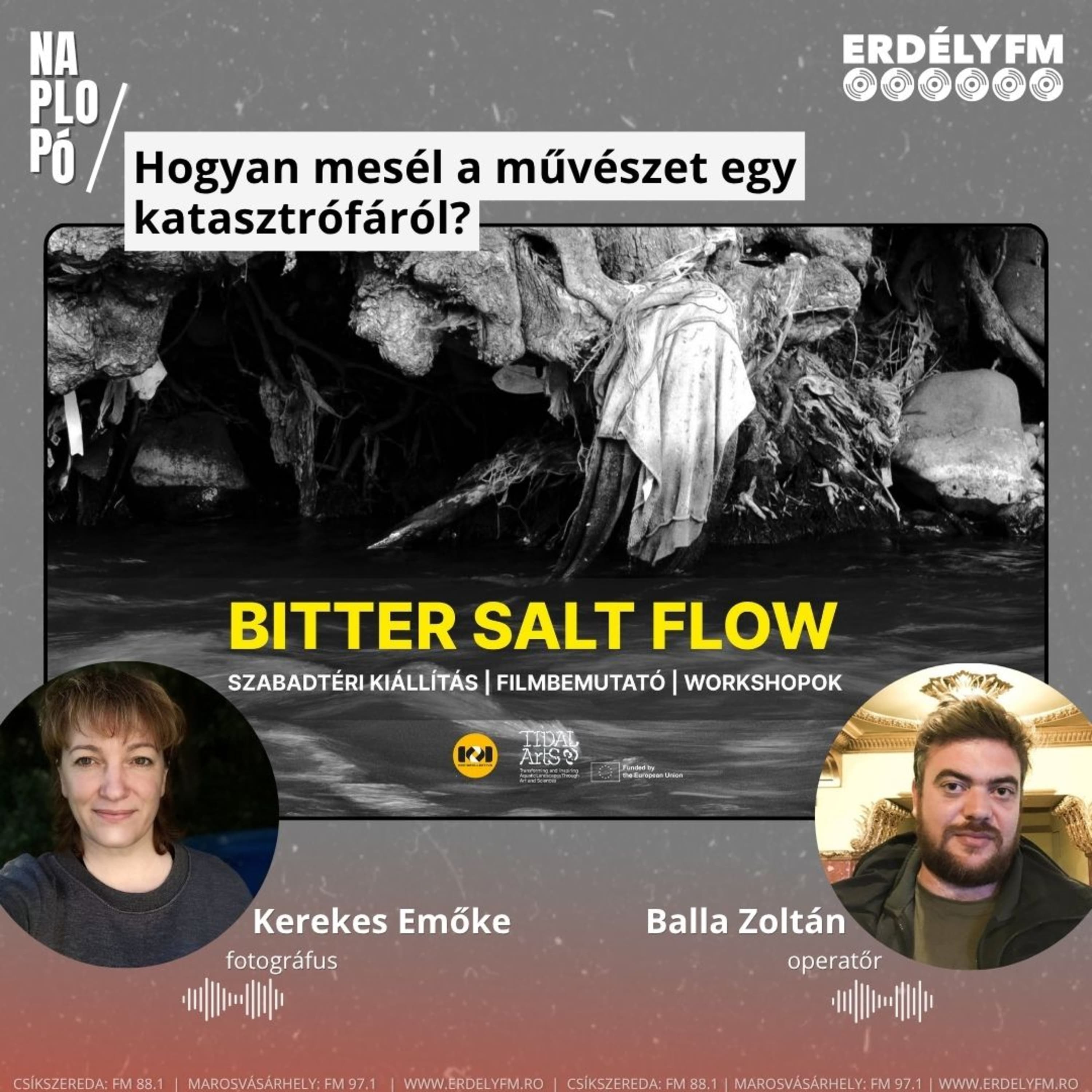 Hogyan mesél a művészet egy katasztrófáról?