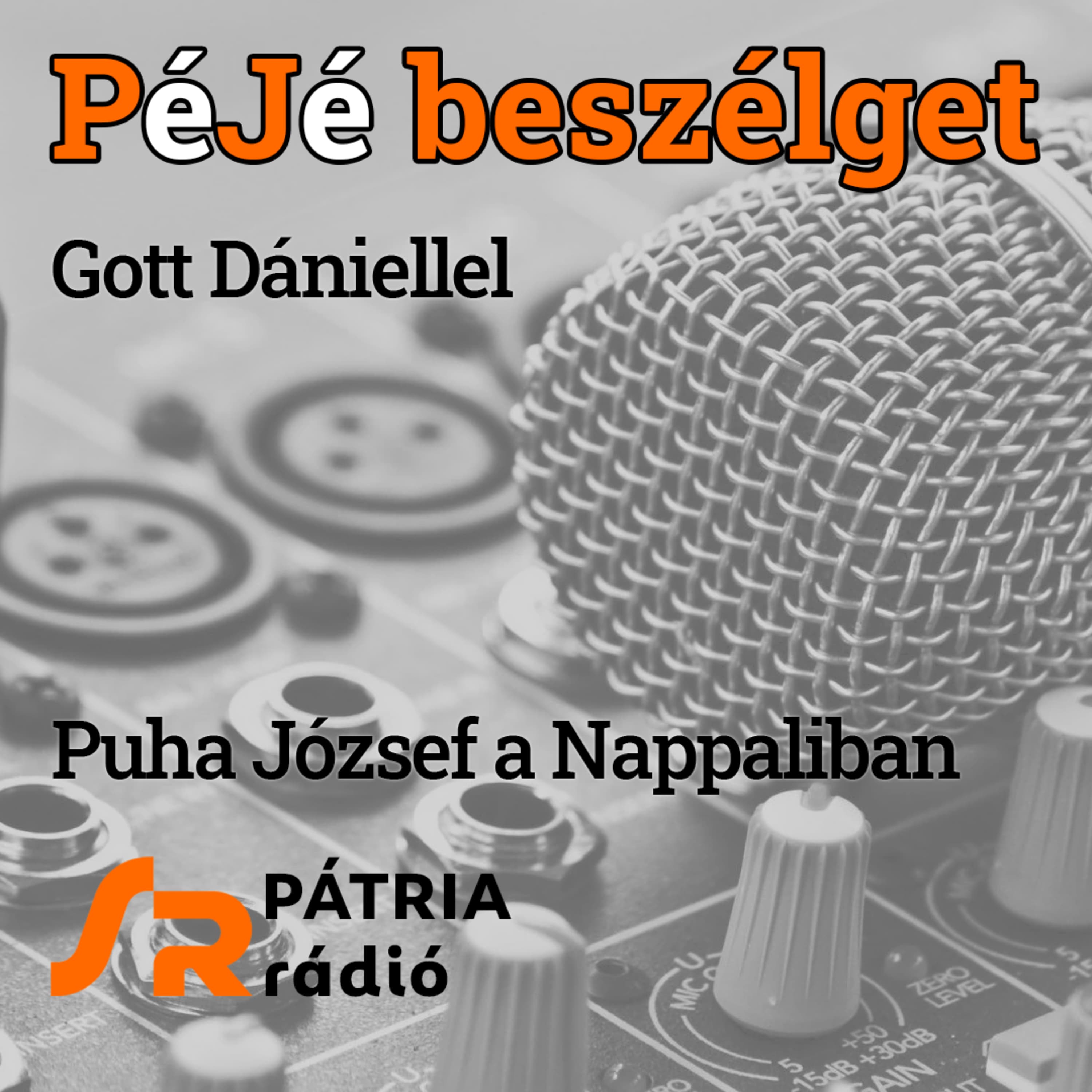 PéJé beszélget #31 | „A józan ész győzött a butaság felett” – a magyarországi választásokról Gott Dániel youtuberrel