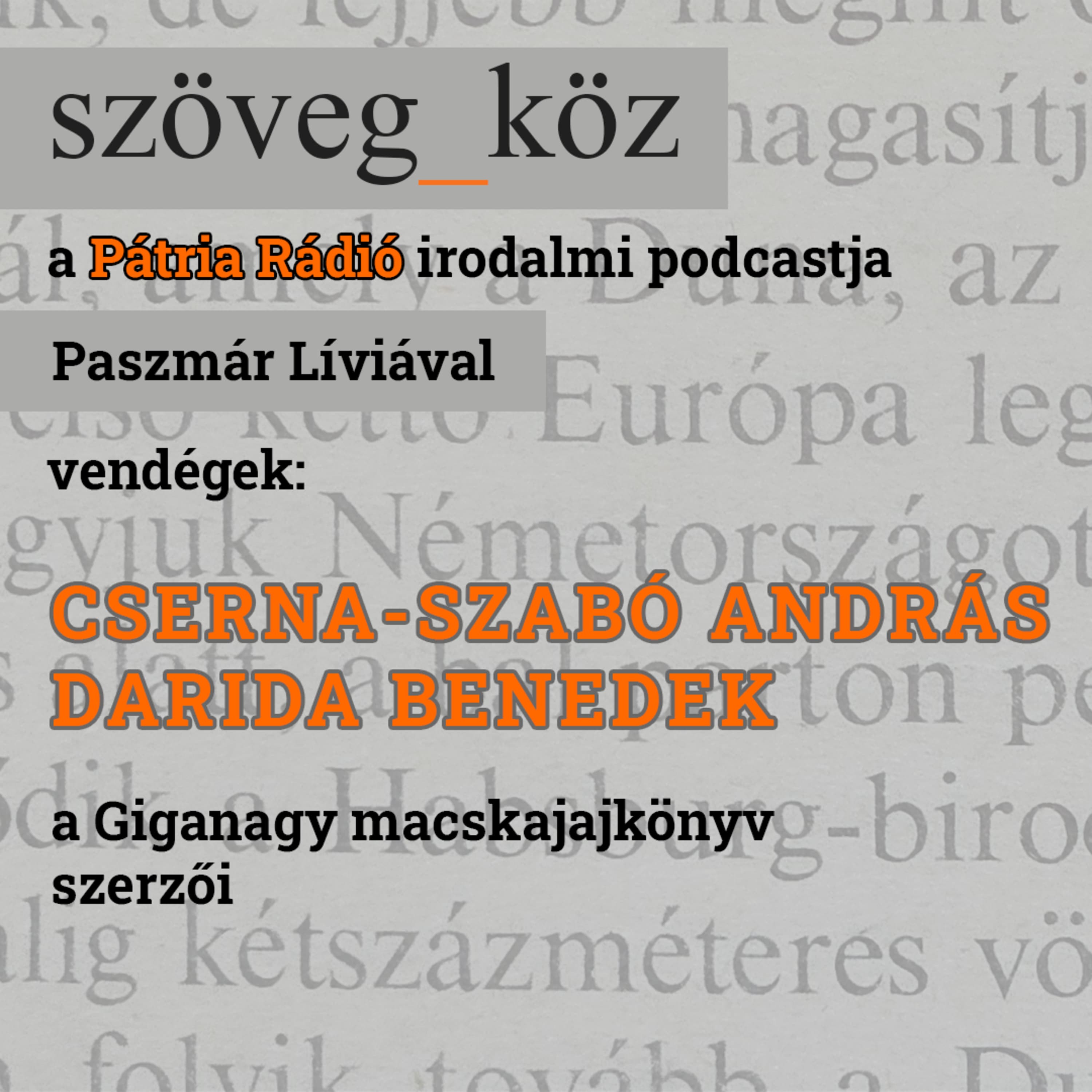 Szöveg-köz #13 | „Nagyon nehéz viccelni, mert jön valaki és rögtön komolyan veszi“