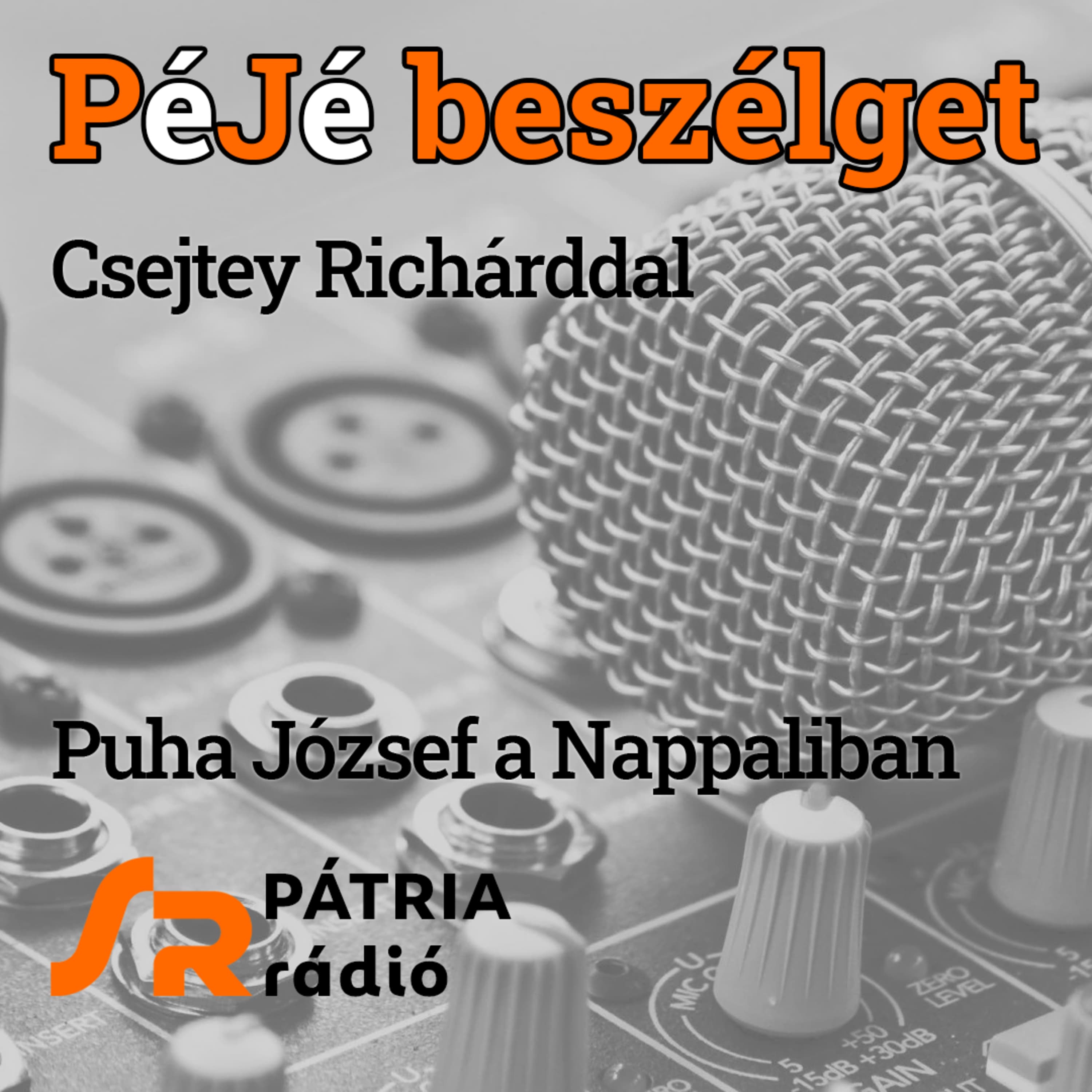 PéJé beszélget #34 | Csak a paralimpiai arany hiányzik – Csejtey Richárd asztaliteniszező, paralimpikon életútja