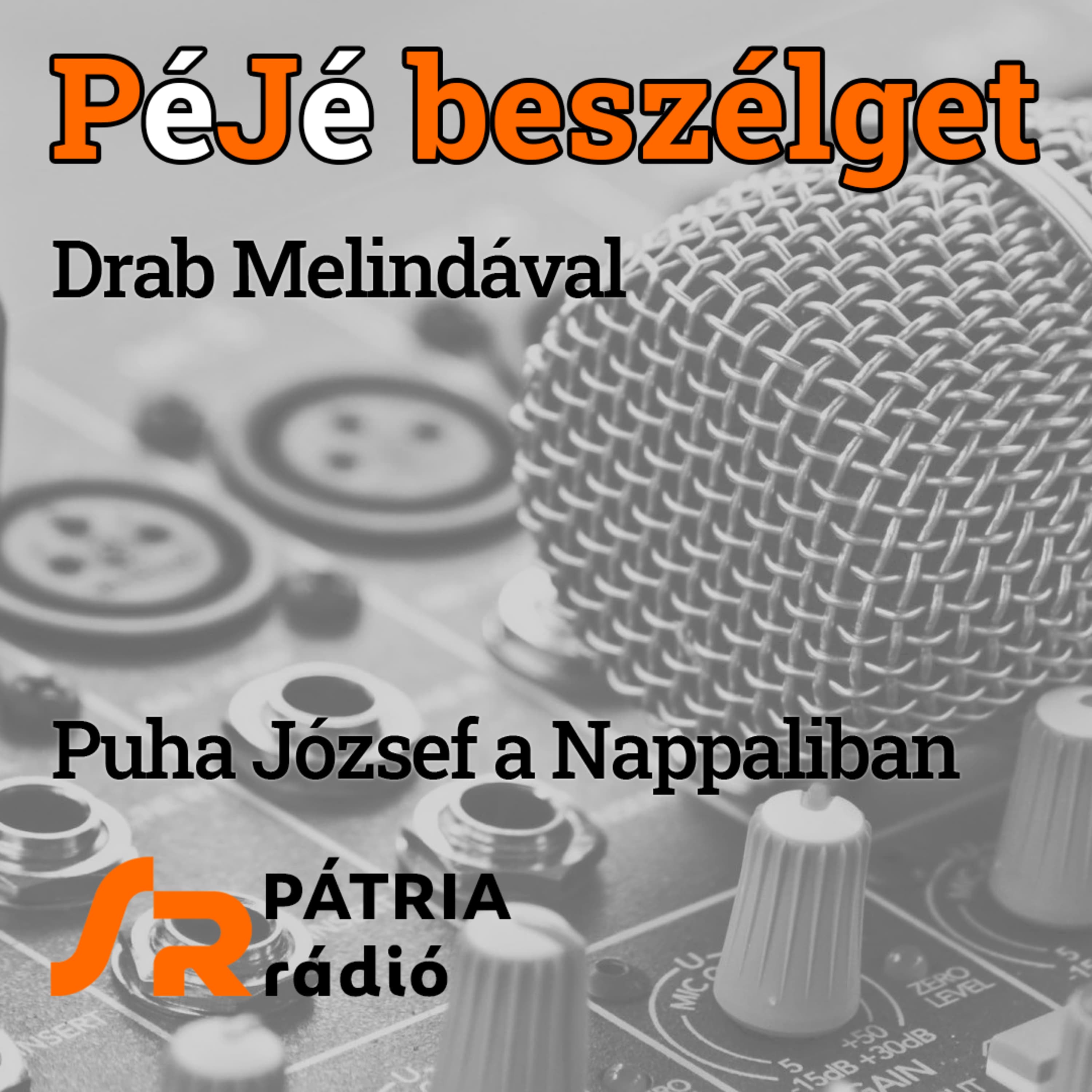 PéJé beszélget #39 | Szívvel, lélekkel, ésszel - bemutattuk Drab Melinda Házam… asztalom… című könyvét