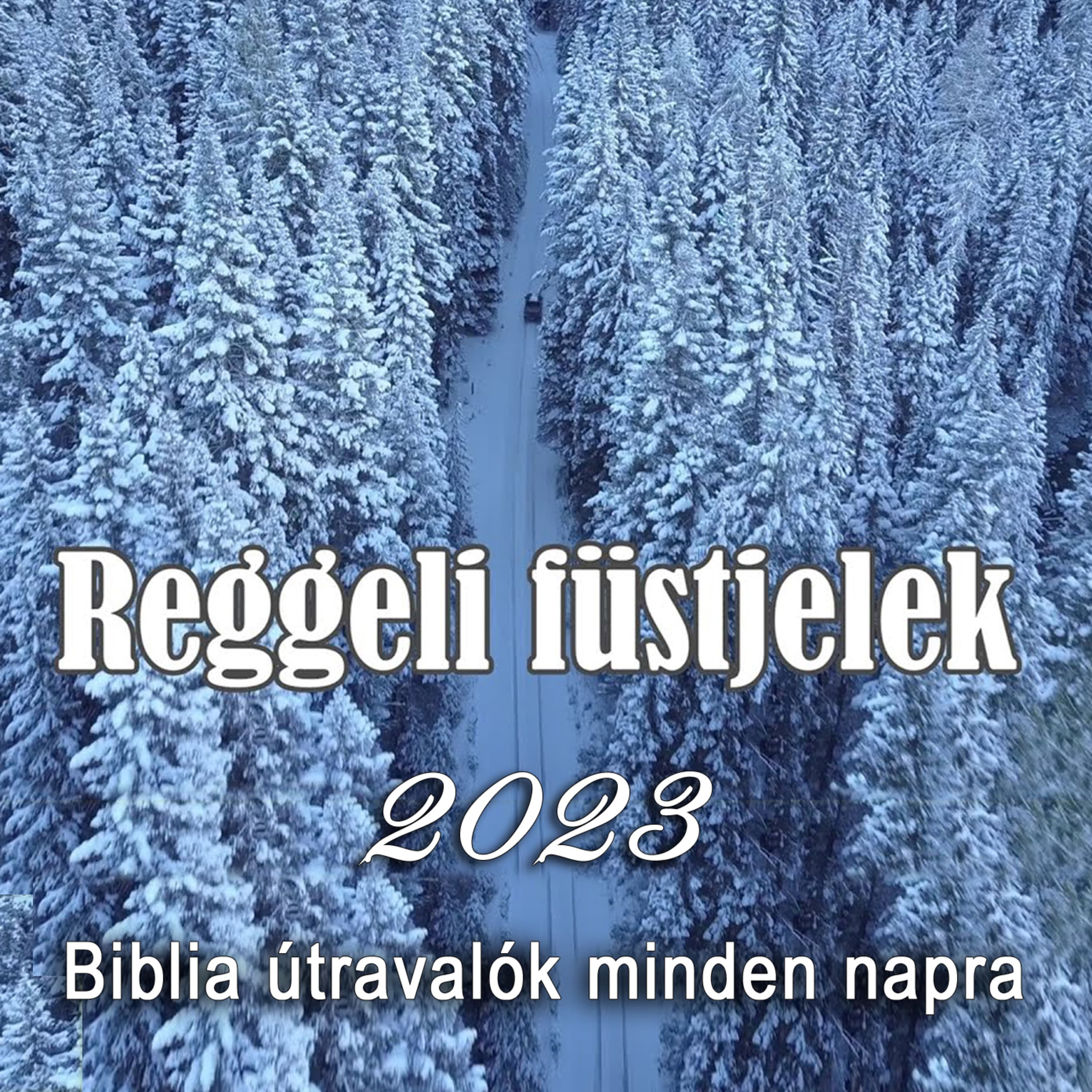 BÁRCSAK... • 2023.02.03. • Nagy Sándor
