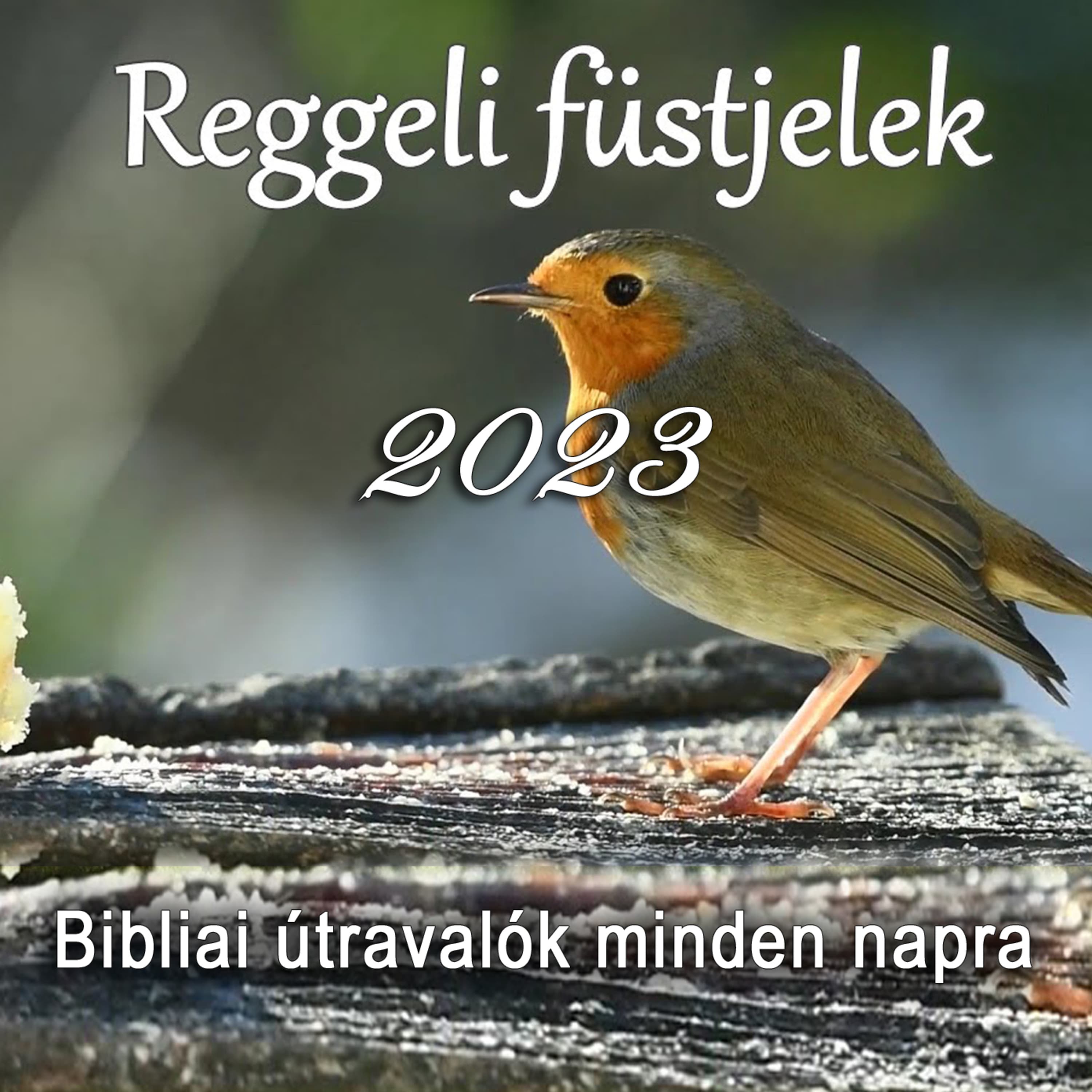 MOZDULATLAN DOMINÓK • 2023.03.06. • Filep György