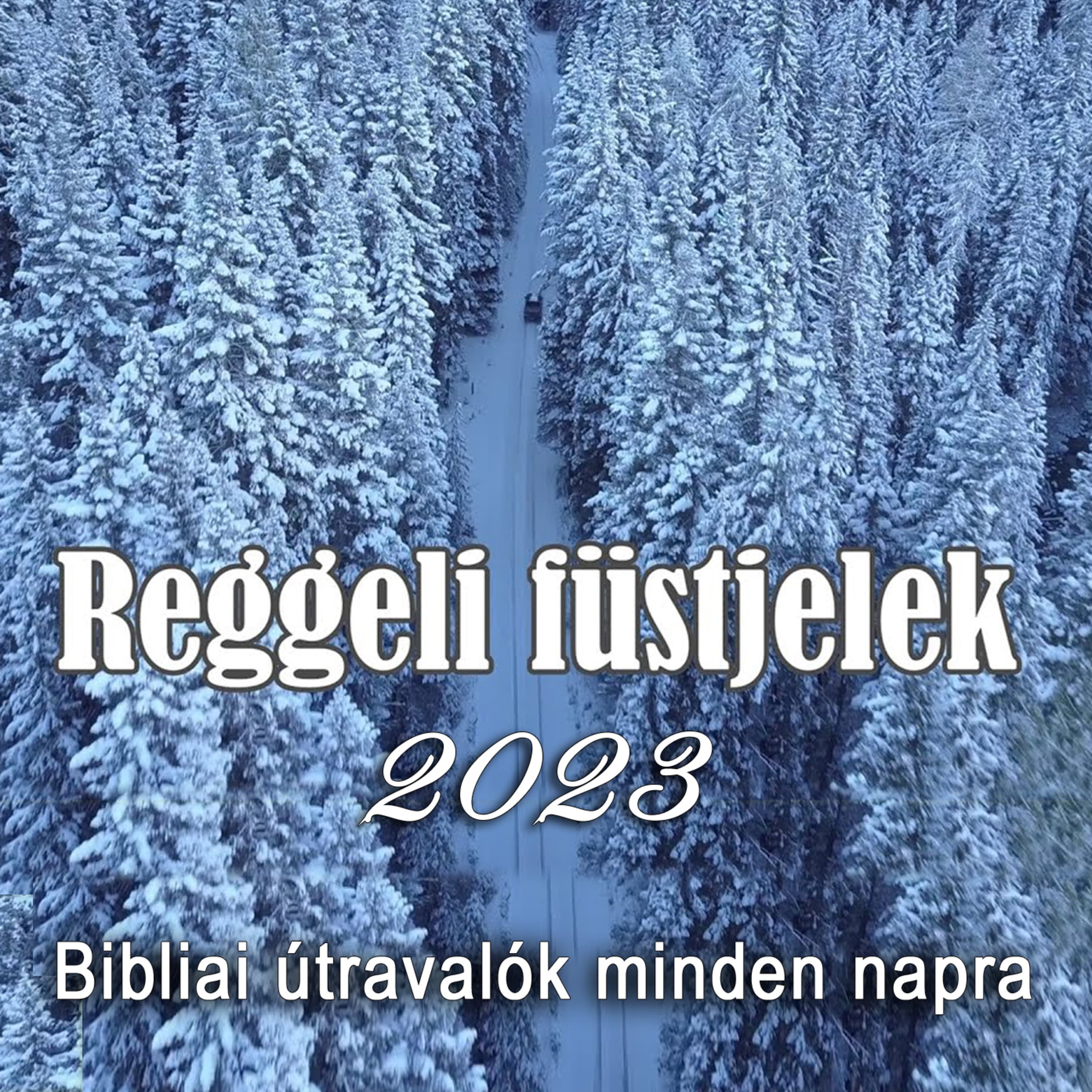 SZÉGYENBŐL DICSŐSÉG – INGYEN KEMÓSAPKA • 2023.02.23. • Molnár Jutka