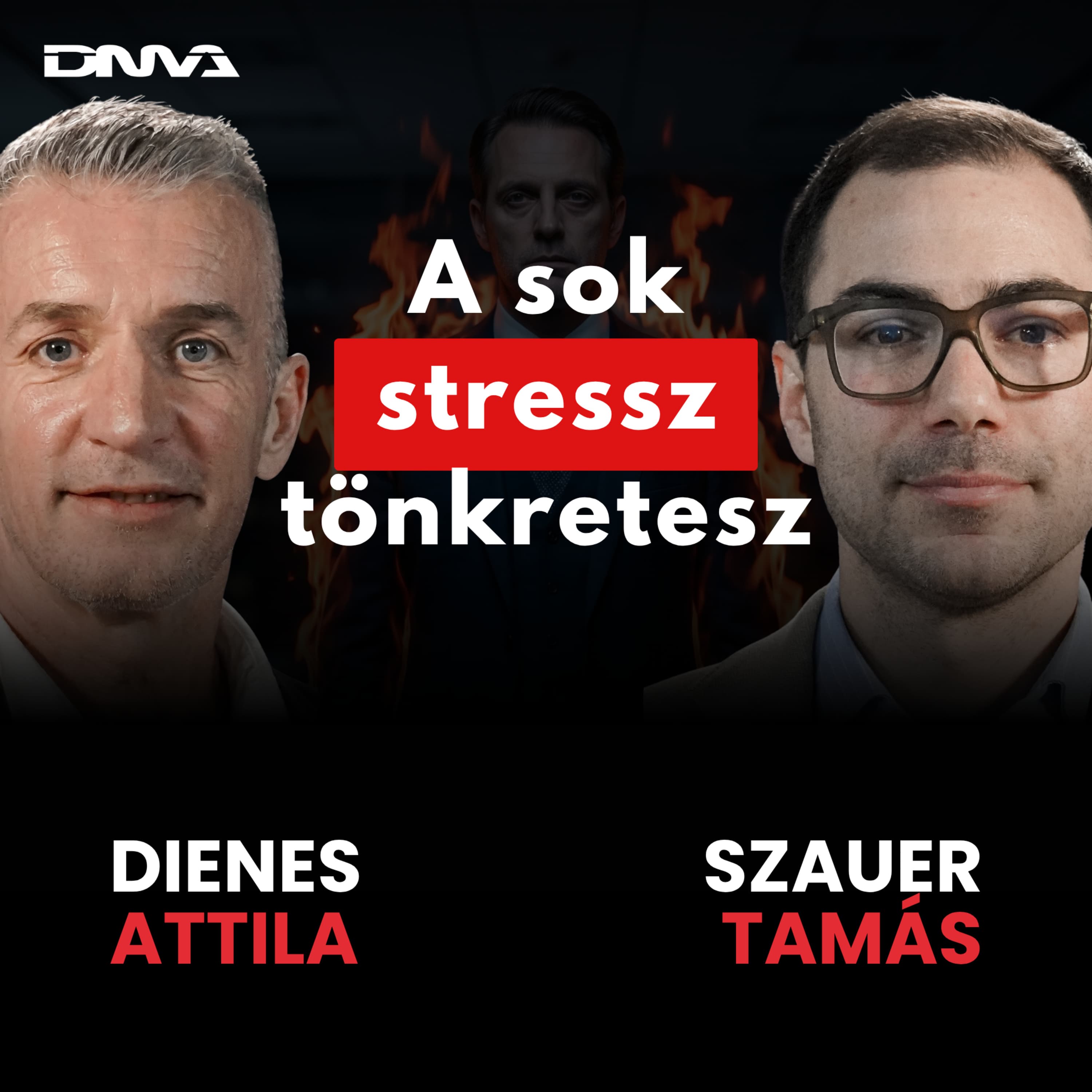 Rendszerek nélkül nem leszel nyugodt cégvezető - SZAUER TAMÁS | GONDOLKOZZ RENDSZERBEN Podcast S2E6
