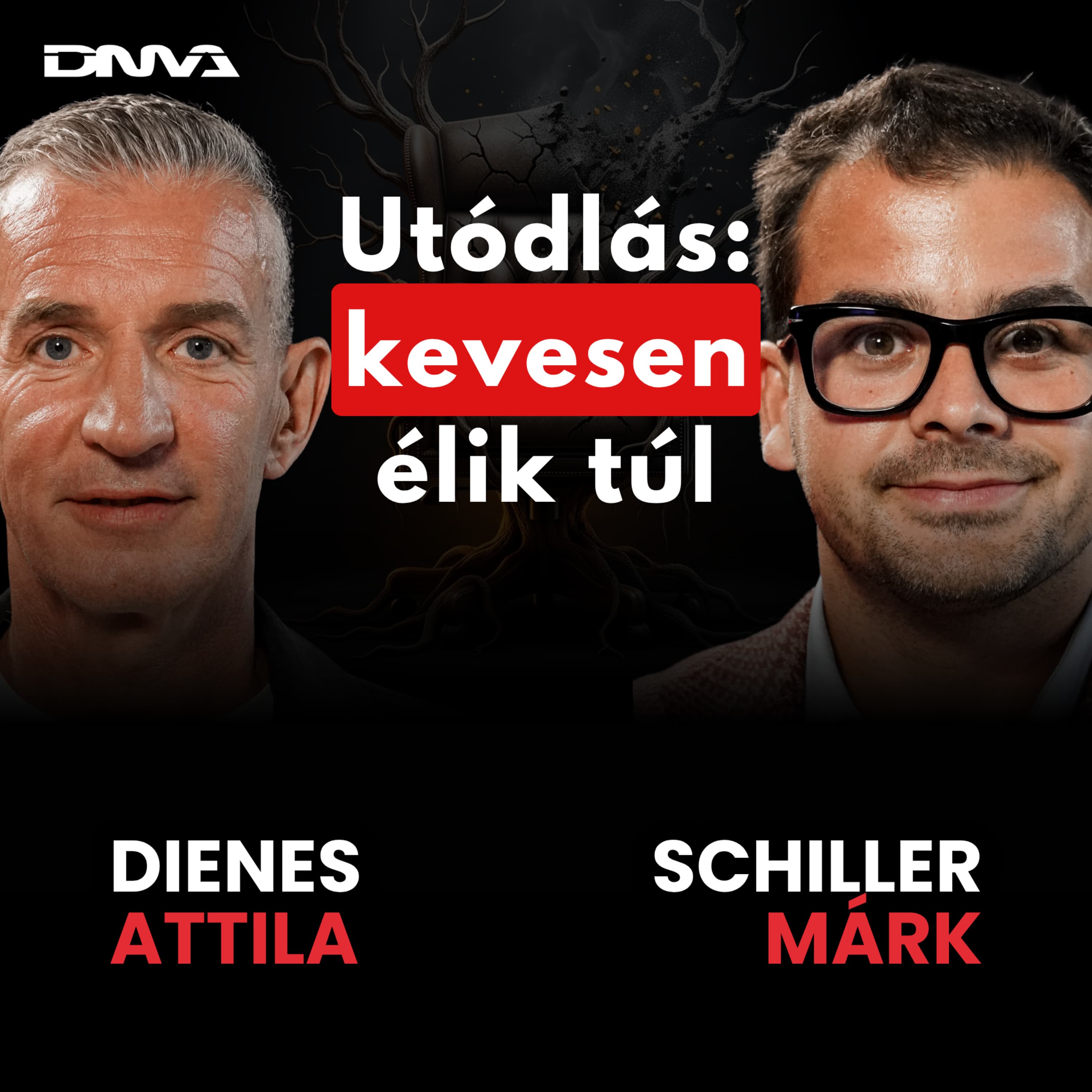 Generációváltás: 60%-ban csőd a vége - SCHILLER MÁRK | GONDOLKOZZ RENDSZERBEN S2E8