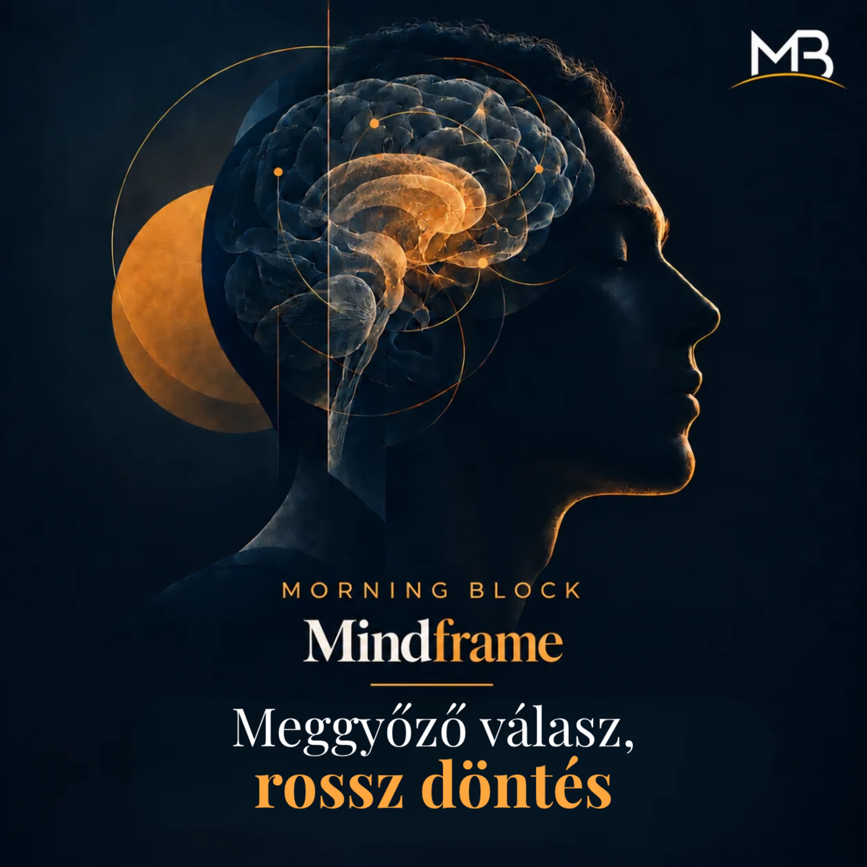 Meggyőző válasz, rossz döntés | Morning Block: Mindframe