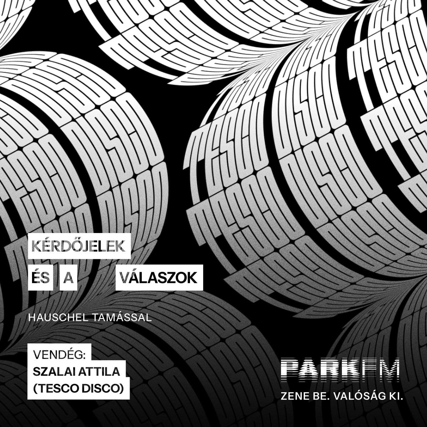 Tesco Disco: Minden szobámban van hangszóró, amin zene szól | Park FM – Kérdőjelek és a válaszok